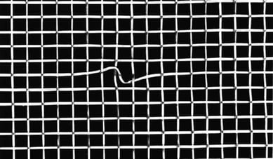 Wire-Mesh-Blemish