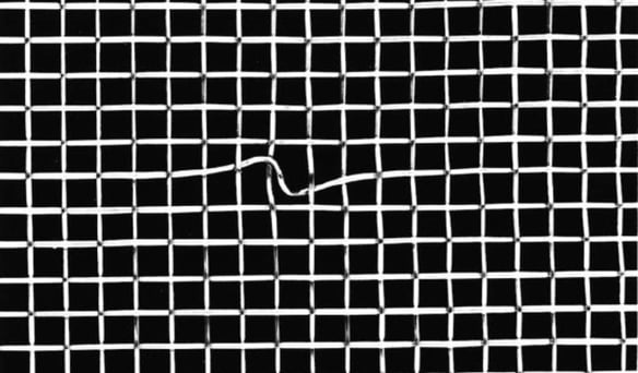 Wire-Mesh-Blemish