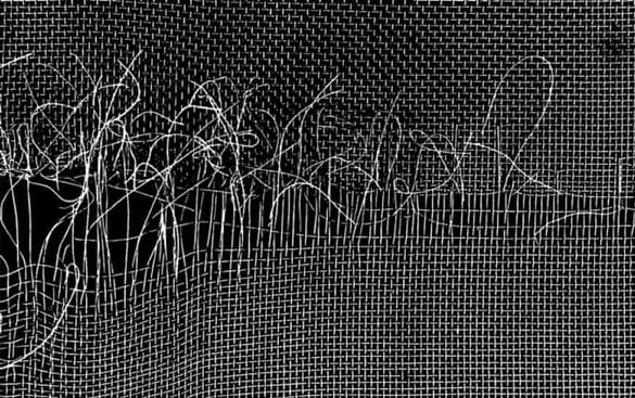 Woven-Wire-Mesh-Blemish