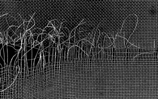 Woven-Wire-Mesh-Blemish