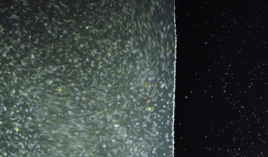 biofouling-desalination