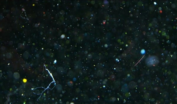 household-microplastics