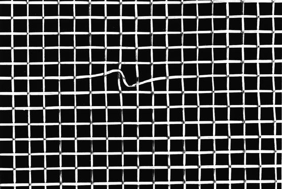Understanding Wire Mesh Blemishes: What To Look For
