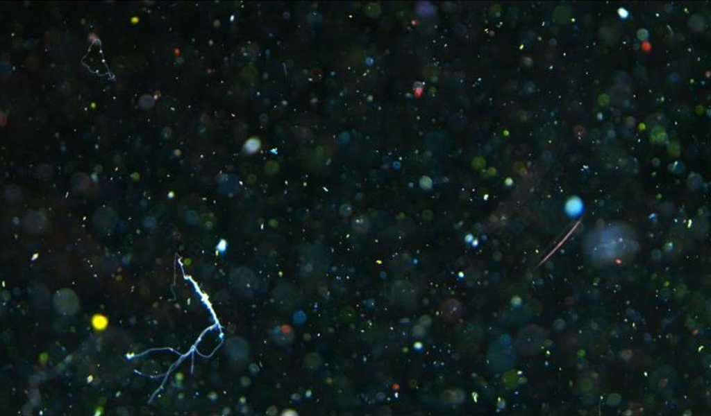 Microplastics at Home: Why Household Filters Make a Difference