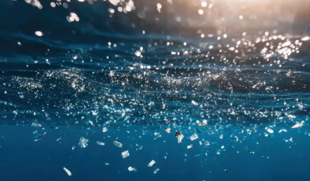 Microplastic Contamination: Health Risks and the Role of Wire Mesh