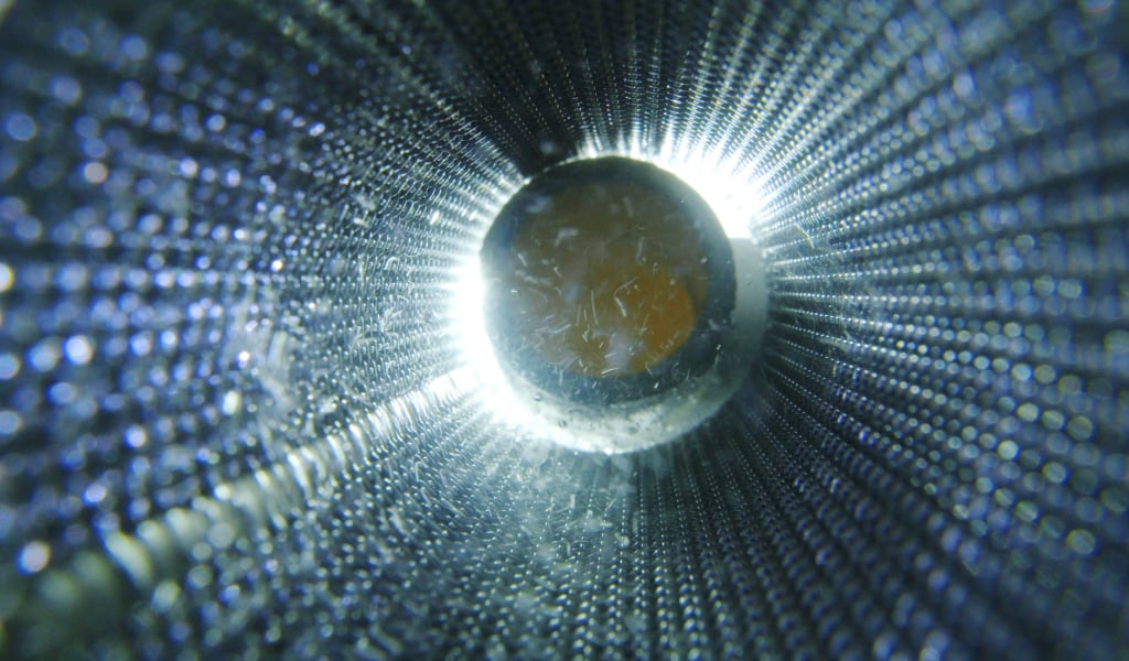 Wire Mesh vs. Wedge Wire: What’s the Best Filter for Desalination?